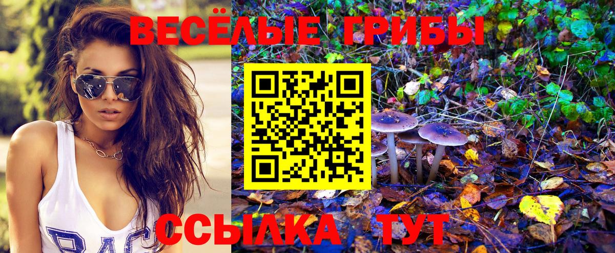 Псилоцибиновые грибы Psilocybine cubensis  Вход с VPN  Изобильный 